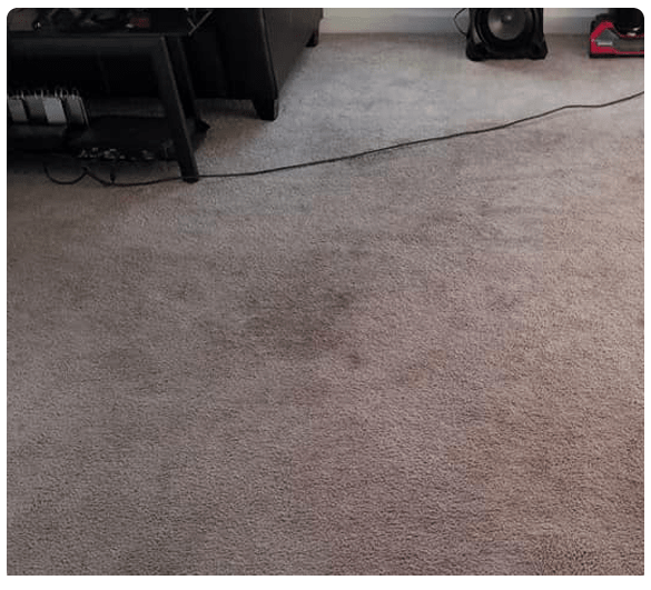Affordable Carpet Steam Cleaning Services In Forrest