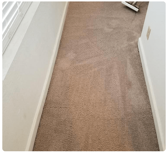 Carpet Cleaning Forrest